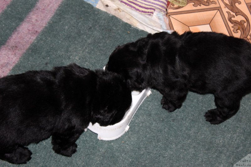 Фотография № 182746