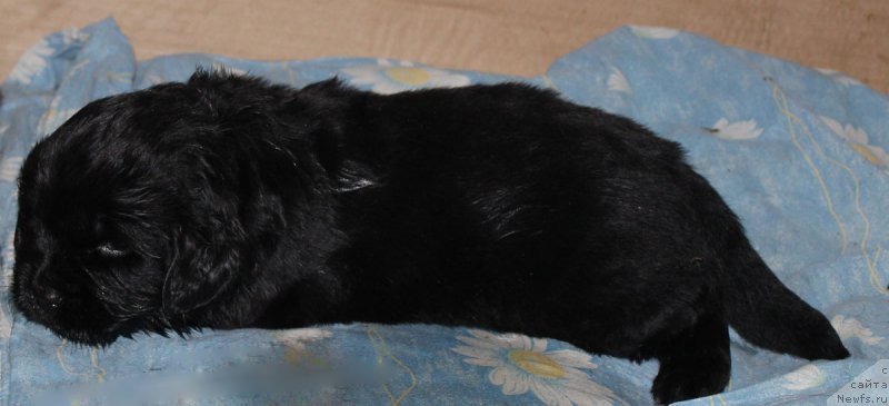 Фотография № 182747