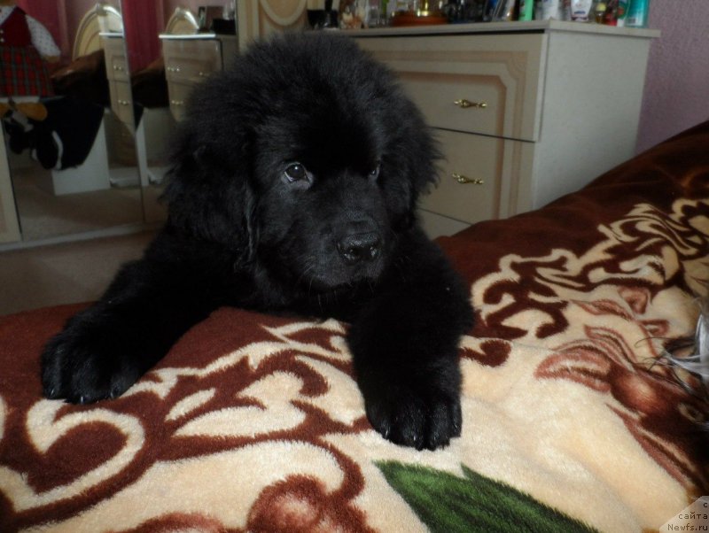 Фото: YUliya Gedvilo (Юлия Гедвило)