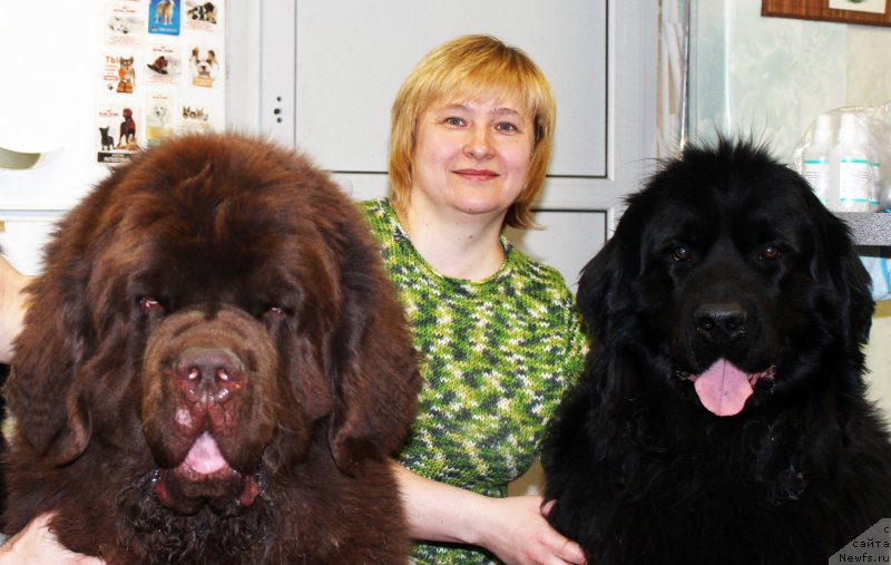 Фото: ньюфаундленд Charli The Best Helfi Pel (Чарли Де Бест Хелфи Пэл), Elena Bajutina (Елена Бажутина), ньюфаундленд Russkaya Krasavica Nyura (Русская Красавица Нюра)