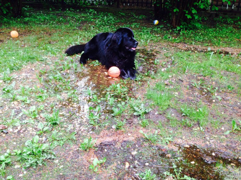 Фотография № 182797