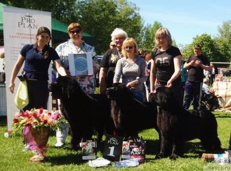 Фотография № 182815