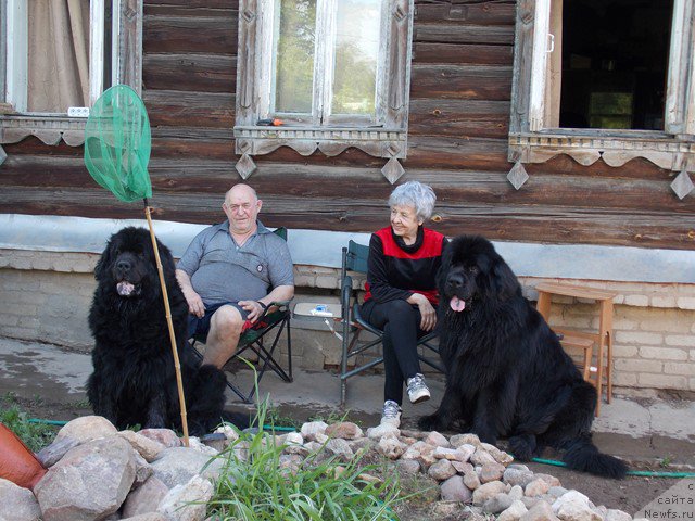 Фото: ньюфаундленд Gay New Space Prestizh (Гай Нью Спейс Престиж), ньюфаундленд CHerchill' Syer Gay (Черчилль Сэр Гай), Vladimir Klyuchenovich (Владимир Ключенович), Svetlana Drujinina (Светлана Дружинина)