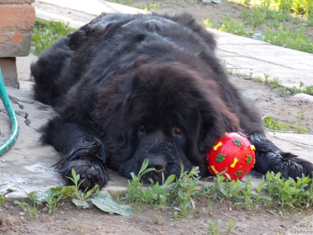 Фотография № 182821