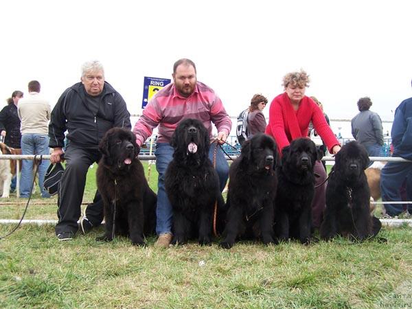 Фото: ньюфаундленд Akvatoriya Kelvin Zahar (Акватория Келвин Захар), ньюфаундленд Zvezdny Syn s Berega Dona (Звездный Сын с Берега Дона), ньюфаундленд Aquatoriya Kelvin Zarya v Hijine Dyadi Djeri (Акватория Келвин Заря в Хижине Дяди Джери), ньюфаундленд Izbrannitsa Sudby s Berega Dona (Избранница Судьбы с Берега Дона), ньюфаундленд Daniyella Stil iz Medvej'ego YAra (Даниэлла Стил из Медвежьего Яра)