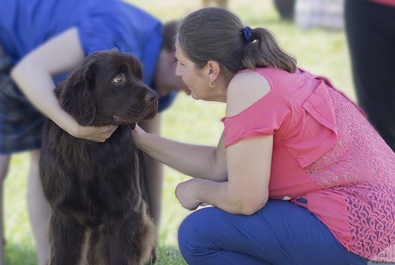 Фотография № 182885