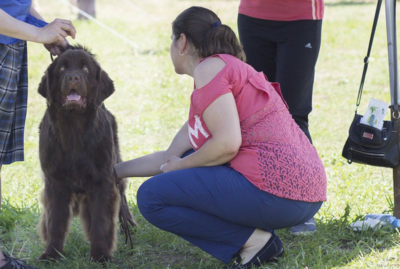 Фотография № 182886