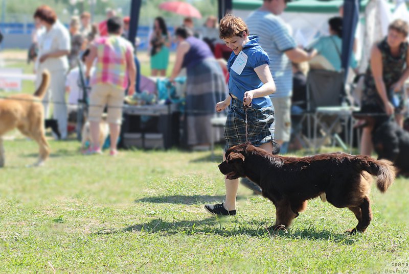 Фотография № 182887