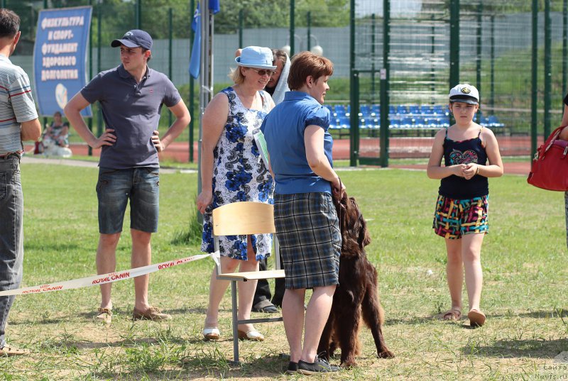 Фотография № 182888