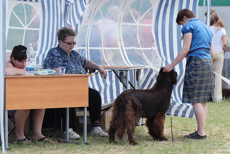 Фотография № 182889