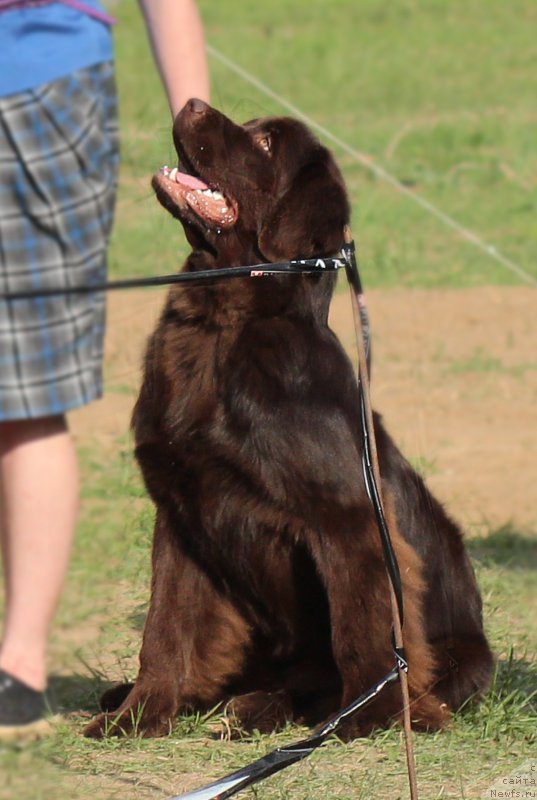 Фотография № 182893