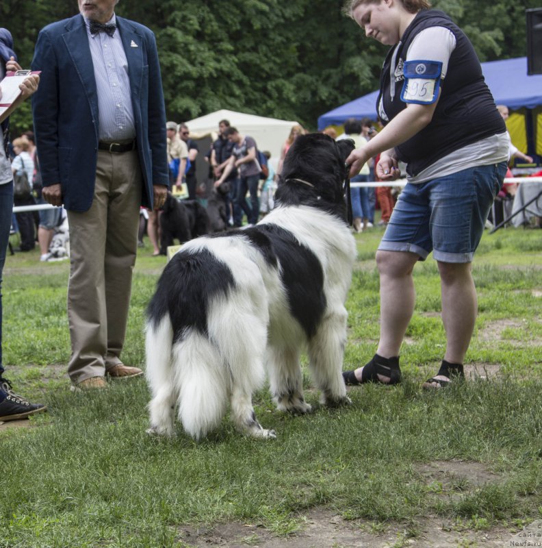 Фотография № 182918