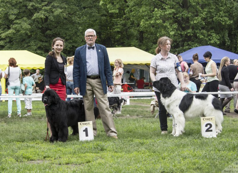 Фотография № 182920