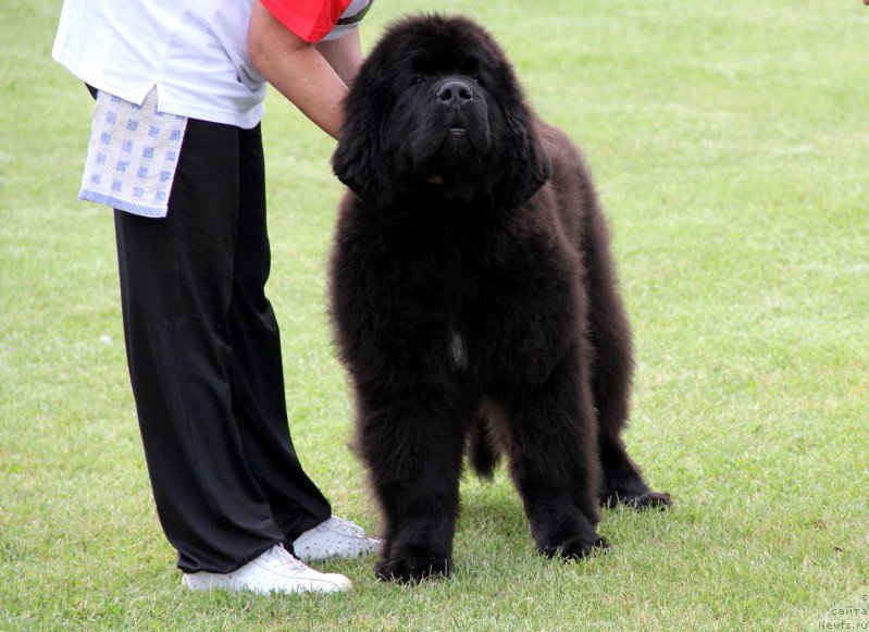 Фотография № 182952