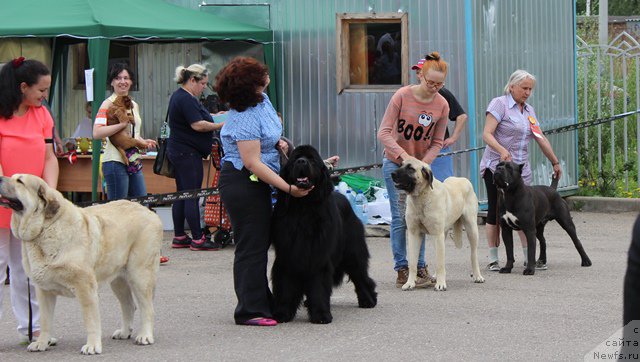 Фотография № 182953