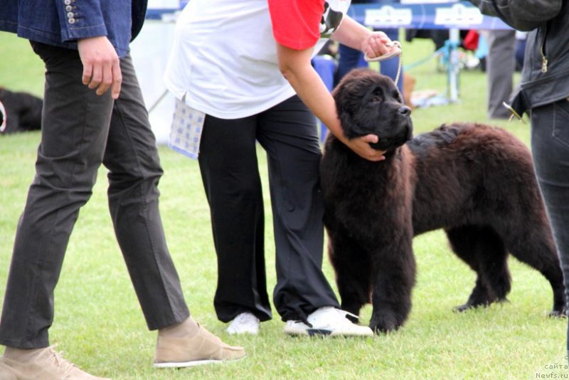 Фотография № 182959