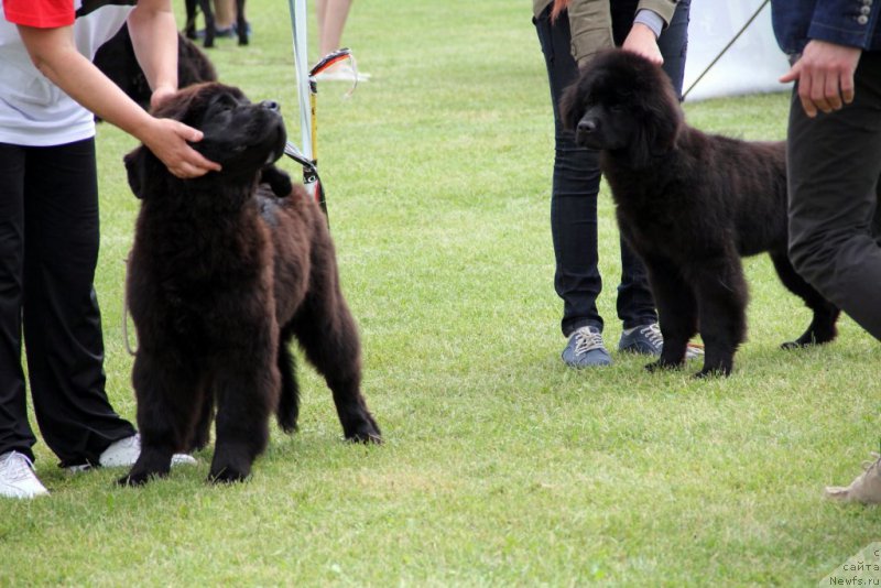 Фотография № 182960