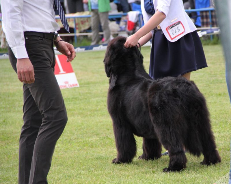 Фотография № 182966