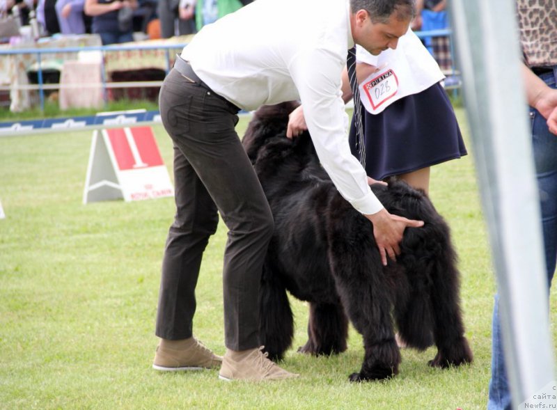 Фотография № 182967