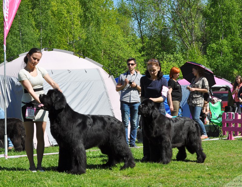 Фотография № 182969