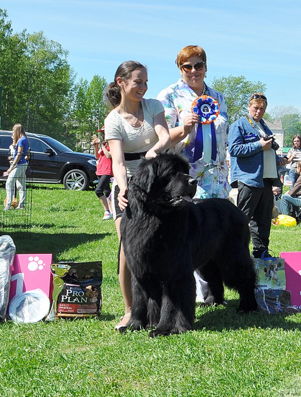 Фотография № 182971