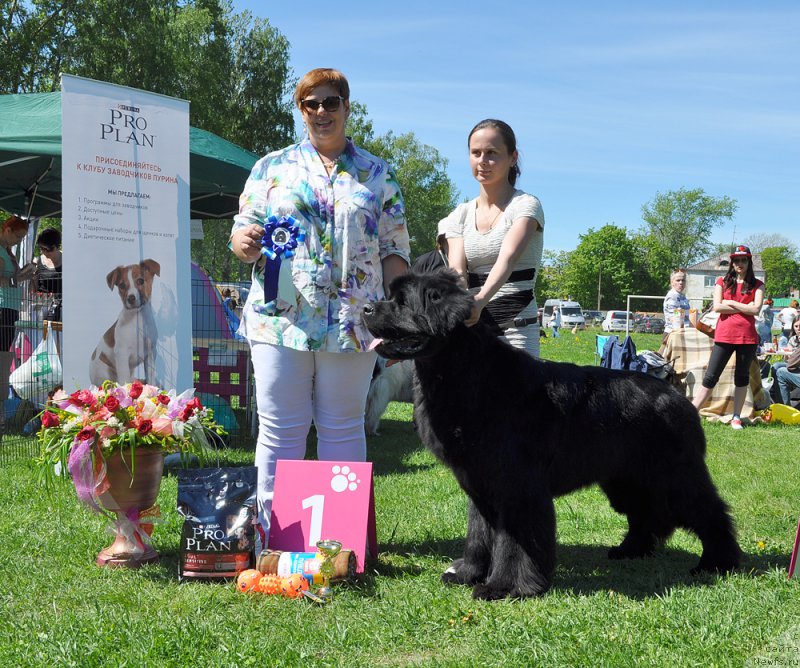 Фотография № 182972