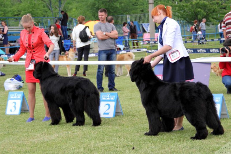 Фотография № 182973