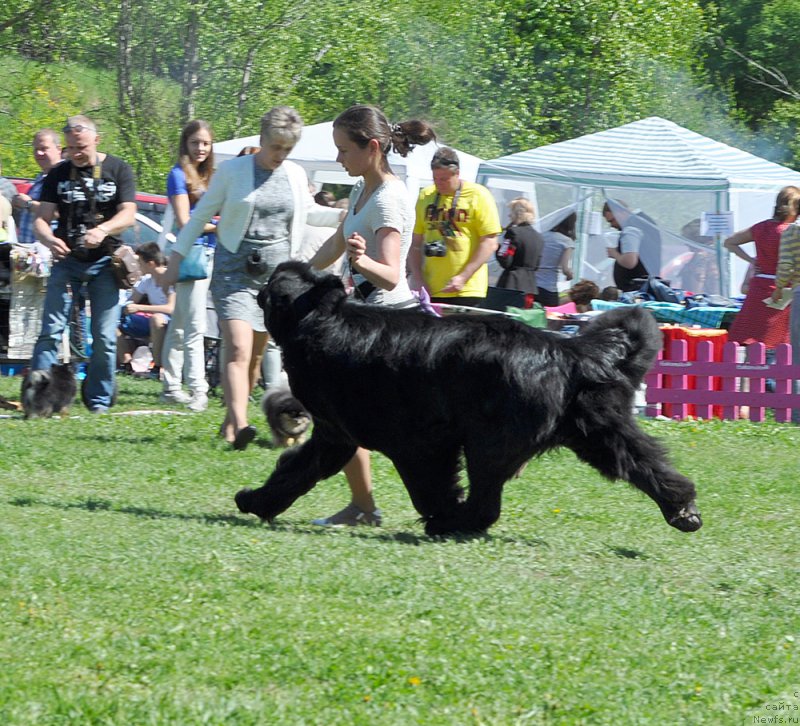 Фотография № 182974