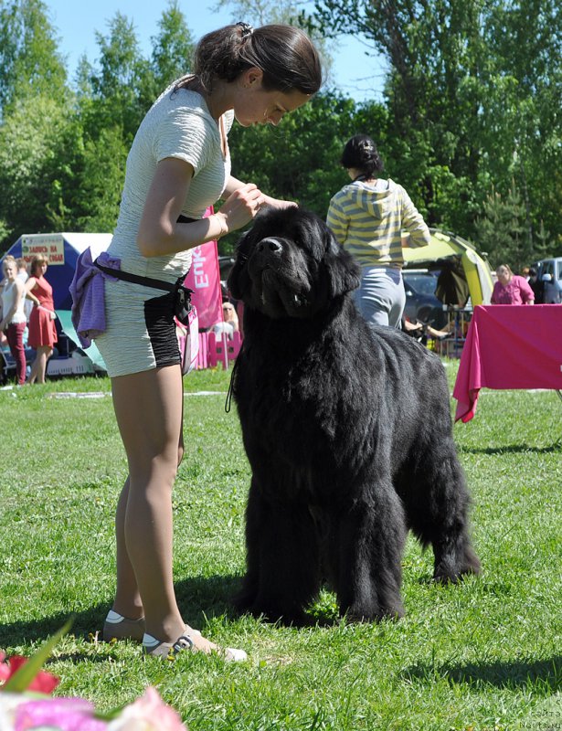 Фотография № 182975