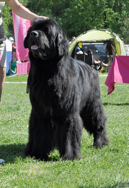 Фотография № 182976