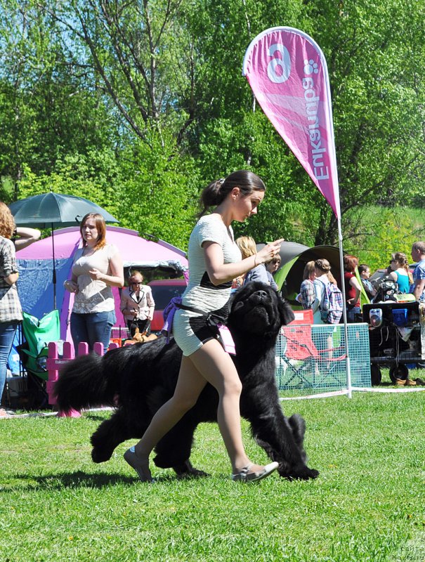 Фотография № 182977