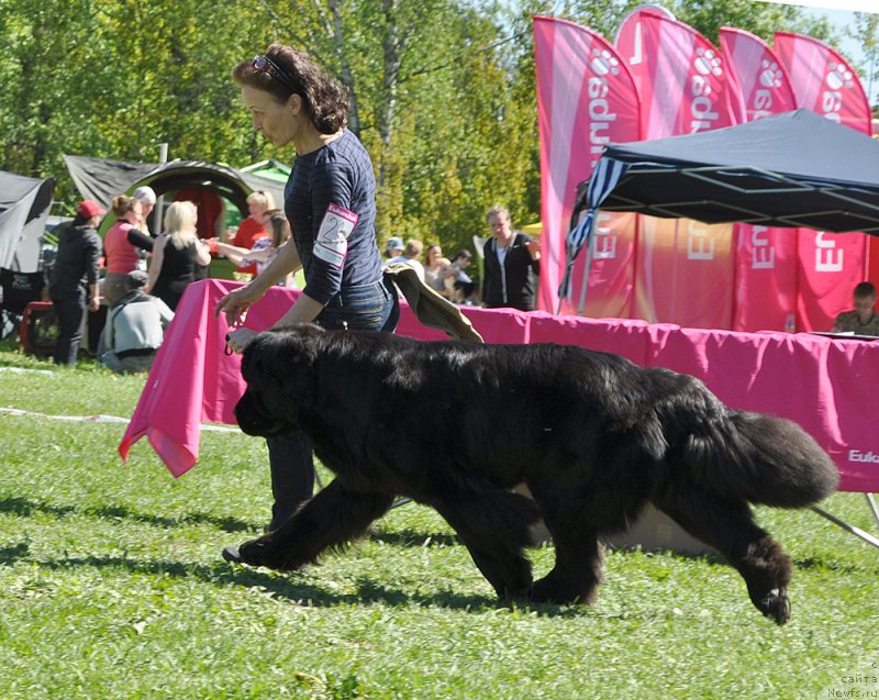 Фотография № 182983