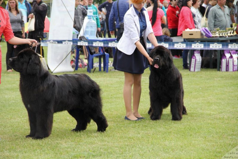 Фотография № 182990