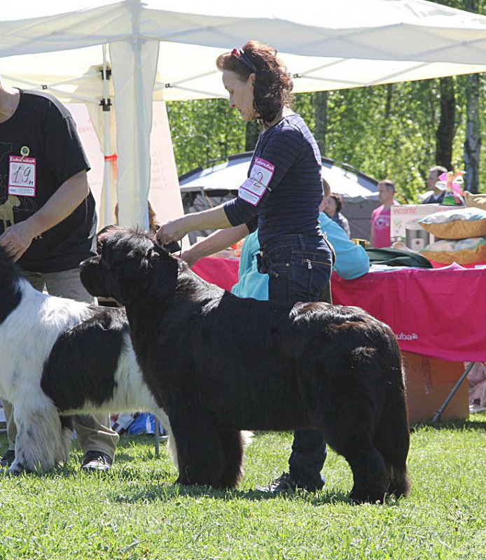 Фотография № 183023