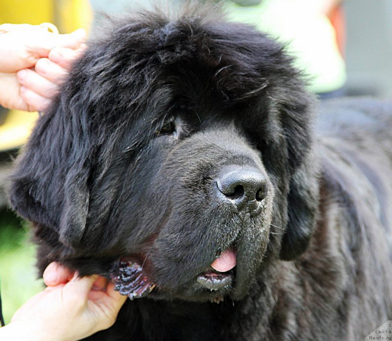 Фотография № 183024