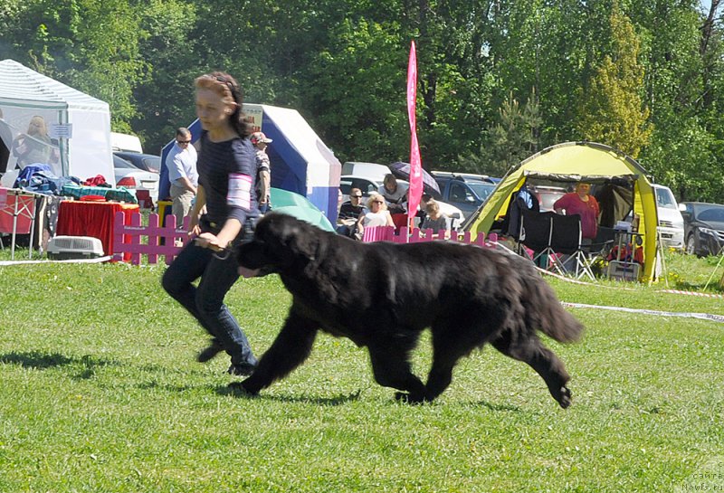 Фотография № 183026