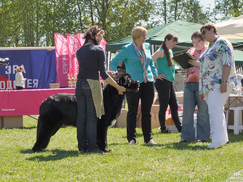 Фотография № 183037