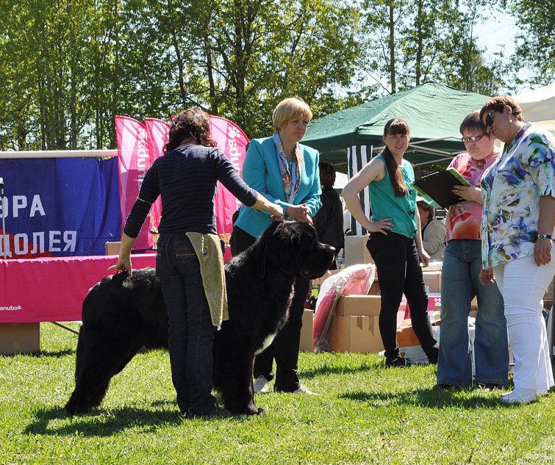 Фотография № 183038