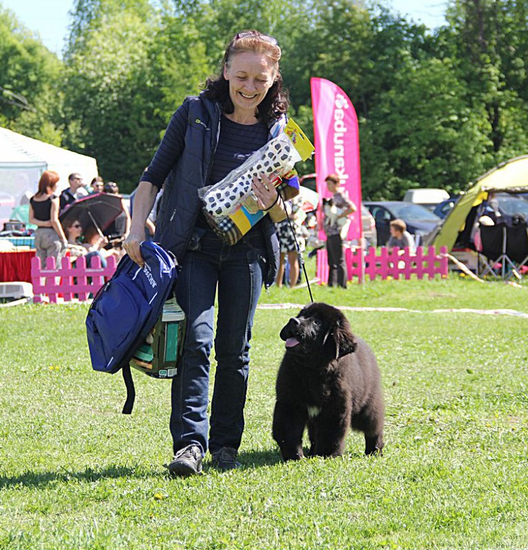 Фотография № 183049