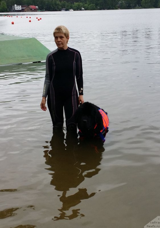 Фотография № 183051