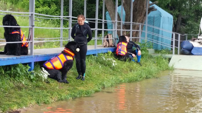 Фотография № 183063