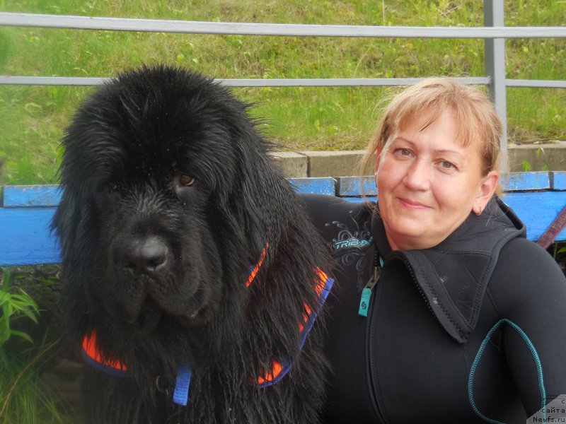 Фотография № 183093