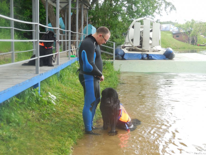 Фотография № 183094