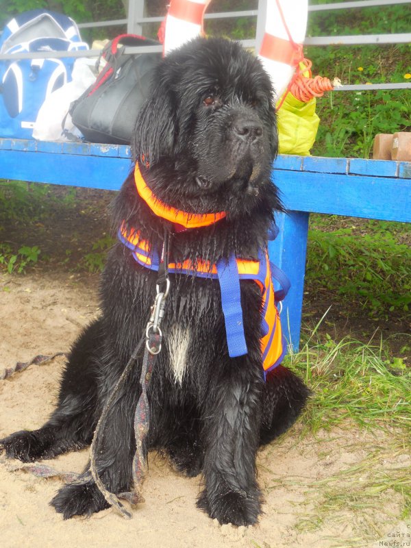 Фотография № 183096