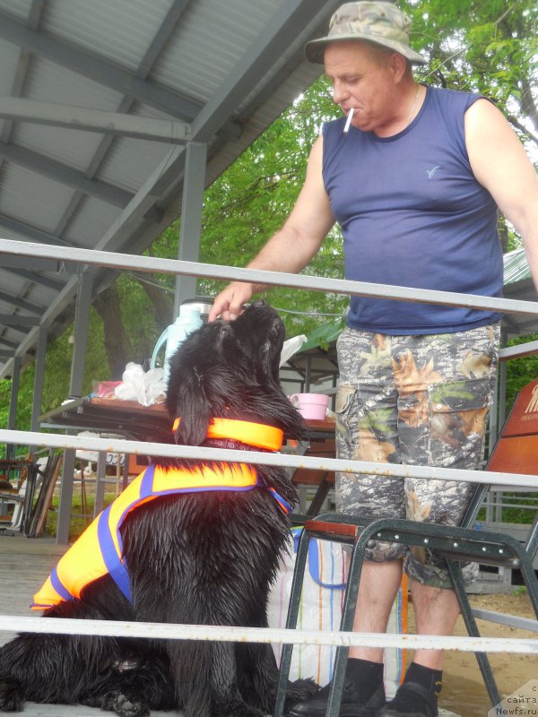 Фотография № 183097