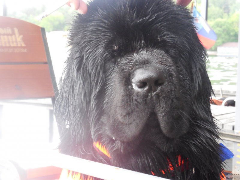 Фотография № 183098