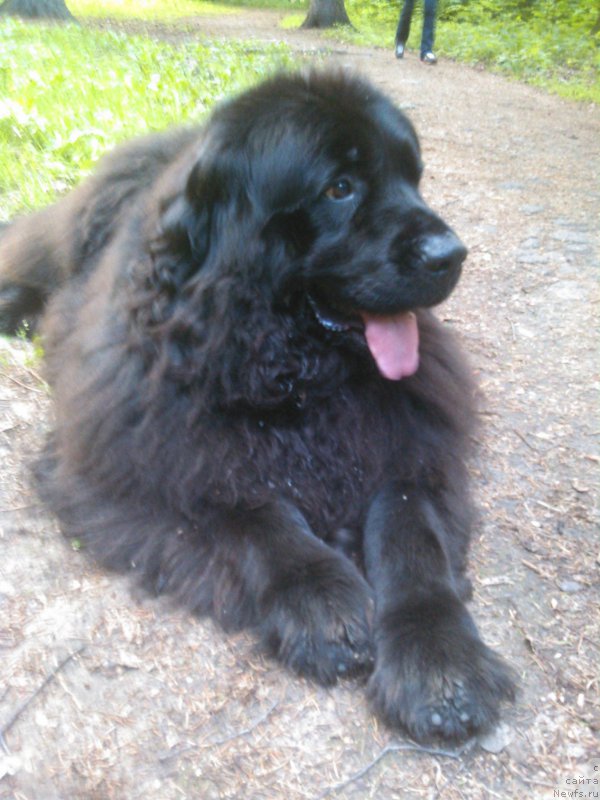 Фотография № 183112