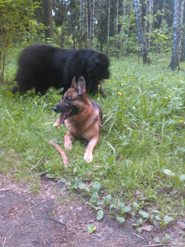 Фотография № 183115