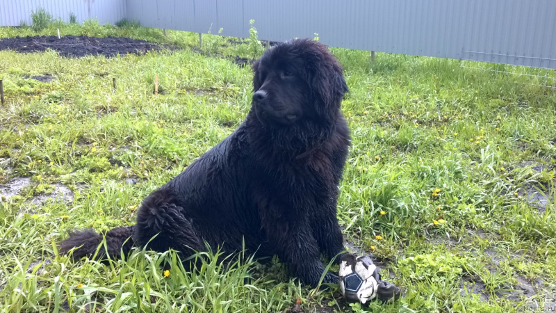 Фотография № 183123