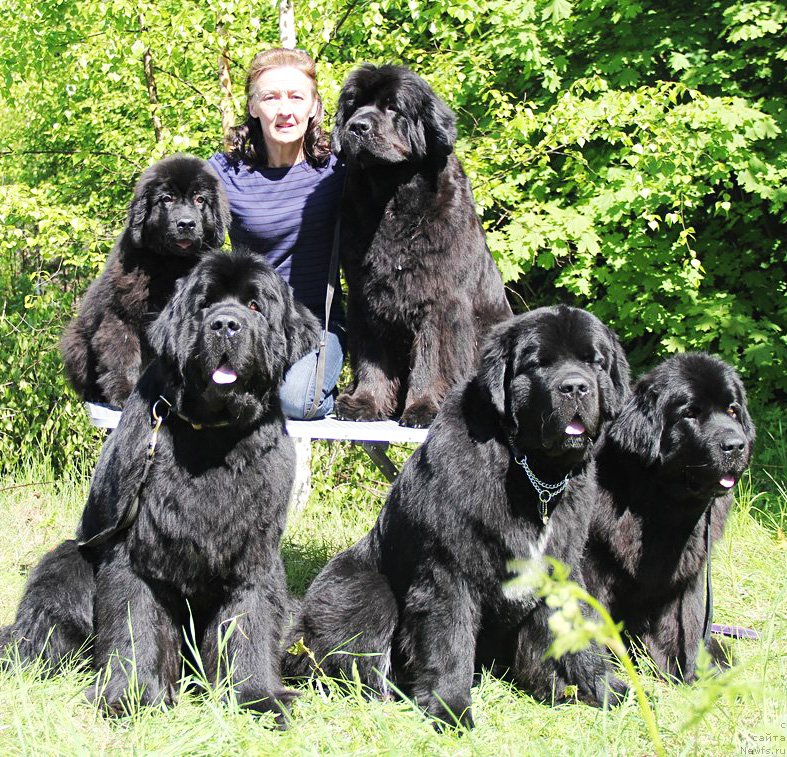 Фотография № 183136